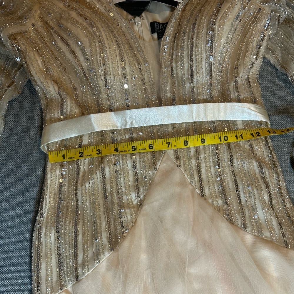 BASIX BLACK LABEL LONG SLEEVE SEQUINED GOWN IN CHAMPAGNE SIZE 6 - Picture 16 of 17